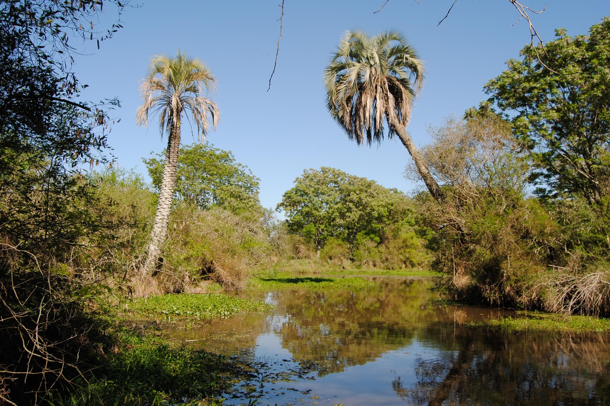 FotoRocío Lapido