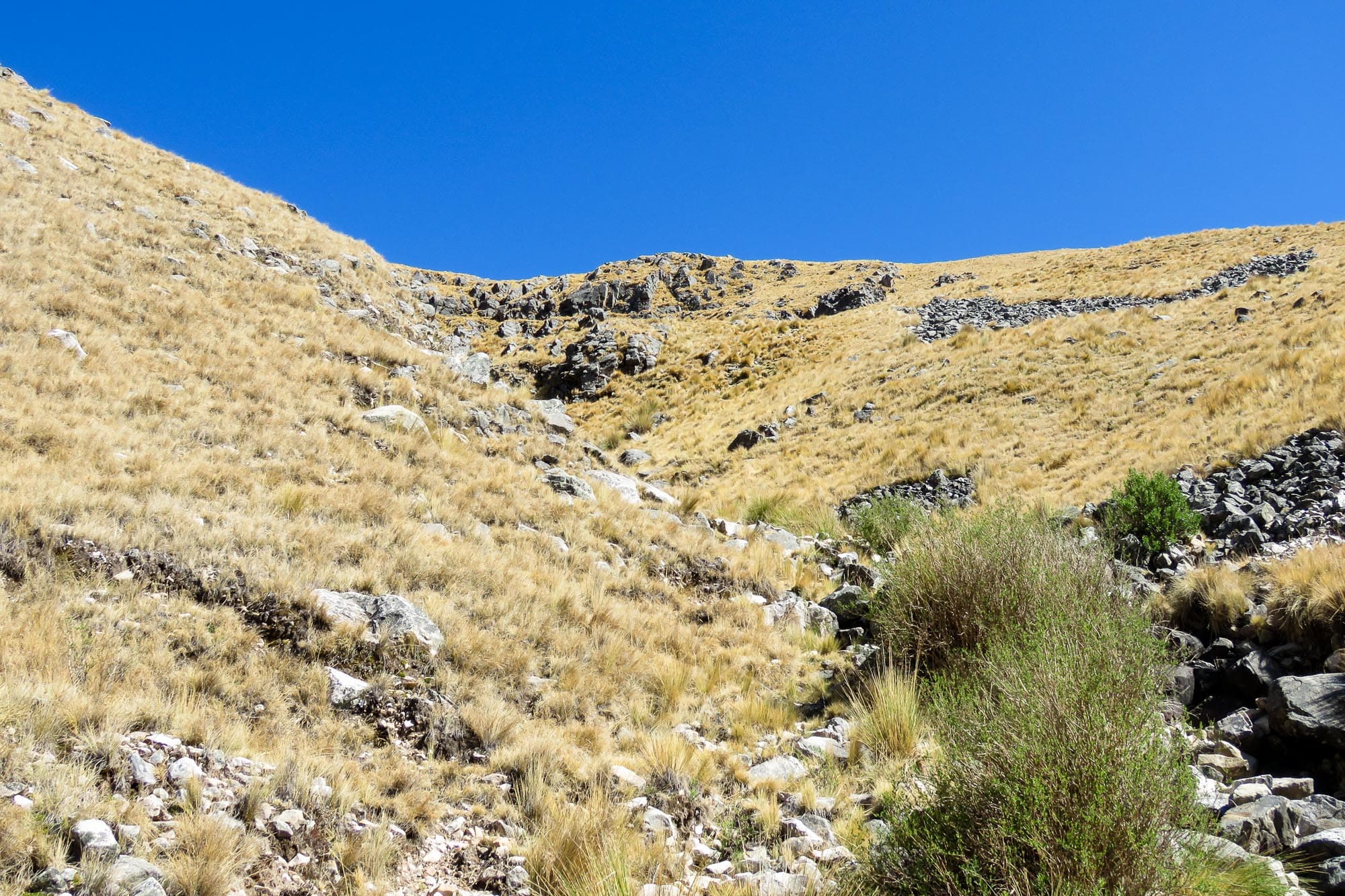 FotoMaría del Castillo