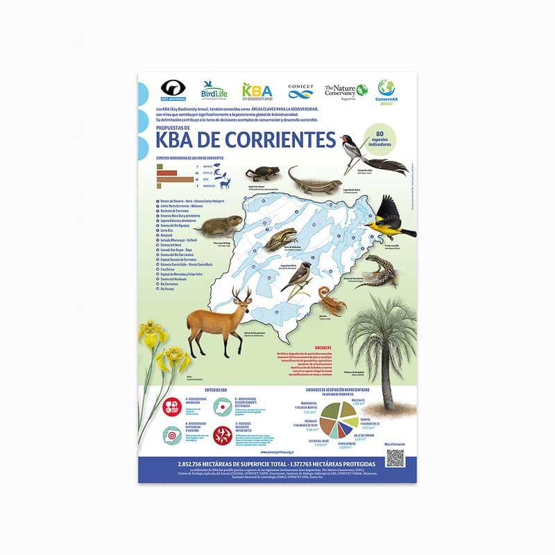 Póster KBA Corrientes